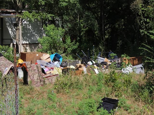 images/garden-clearance/slider/garden-waste-removal (1)-kireth-ai.jpeg